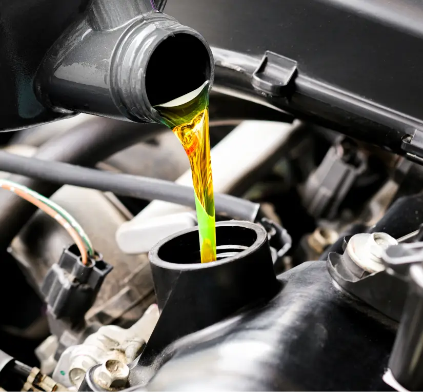 European vehicle maintenance and oil change service at GB Motors Dallas TX – inspection and tune-up